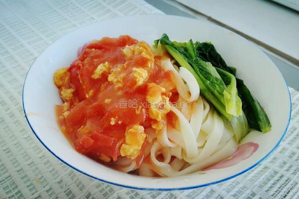 西红柿鸡蛋打卤面的做法图解8