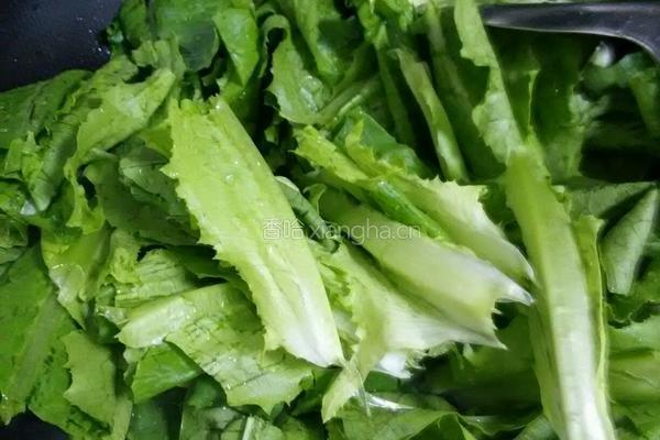蒜茸油麦菜的做法图解5