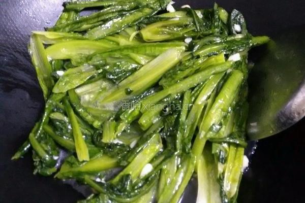 蒜茸油麦菜的做法图解7