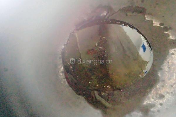 肉末浇蛋的做法图解7