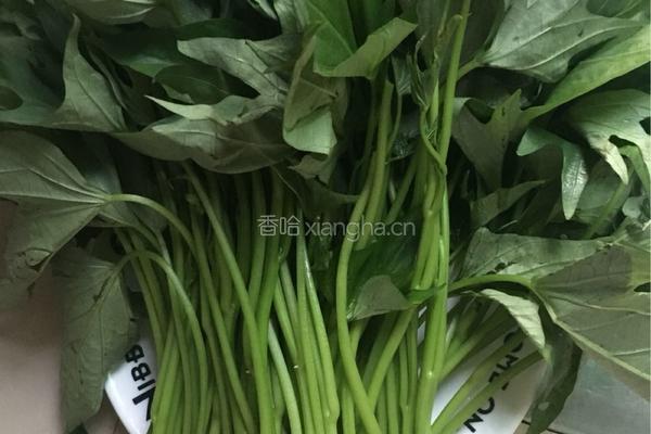 蒜香红薯叶的做法图解1