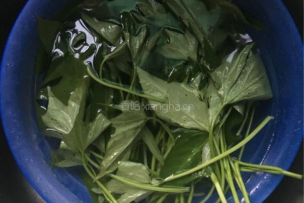 蒜香红薯叶的做法图解2