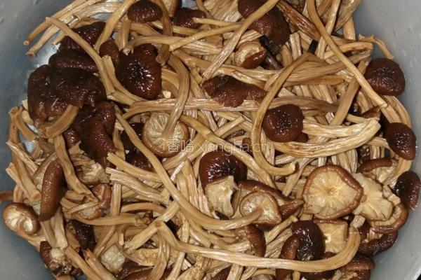 红烧大排茶树菇的做法图解1