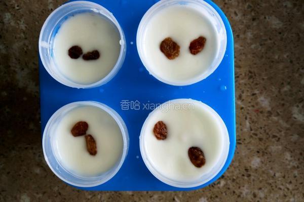 自制酸奶水果冰棍的做法图解4