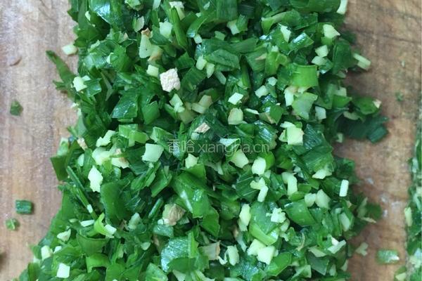 羊肉胡萝卜水饺的做法图解3