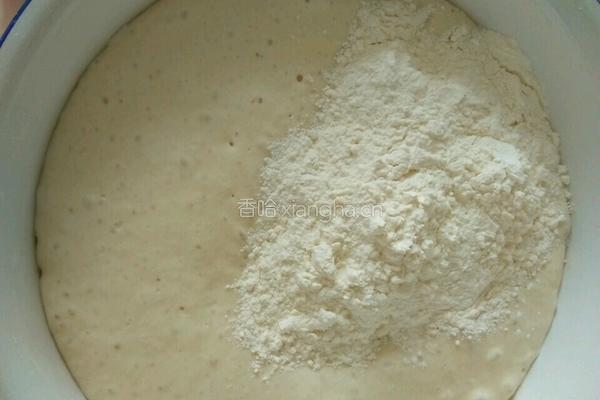 羊肉洋葱蒸包的做法图解4