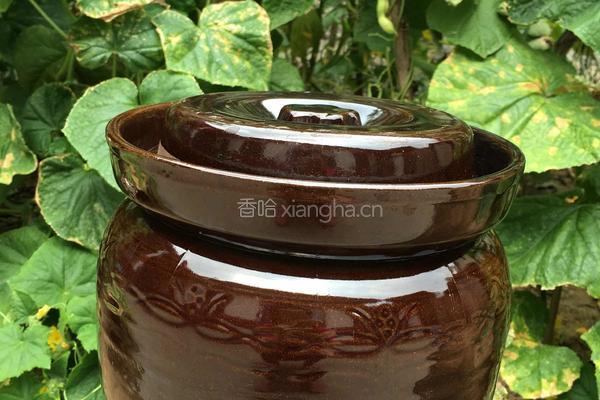 酸豆角的做法图解4