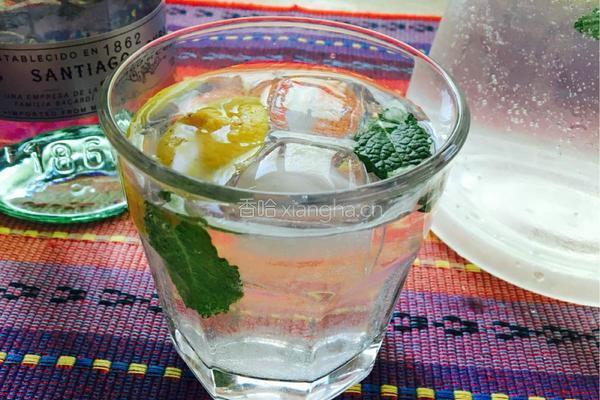 莫吉托mojito的做法图解8