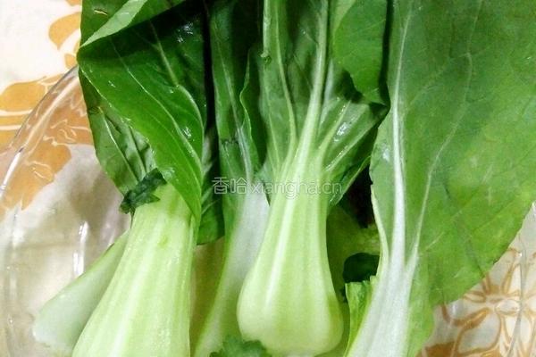 老干妈酱炒年糕的做法图解6