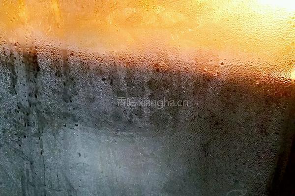 花式豆沙包（两花式）的做法图解14