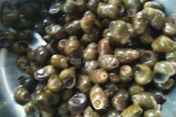 辣烧田螺的做法图解1