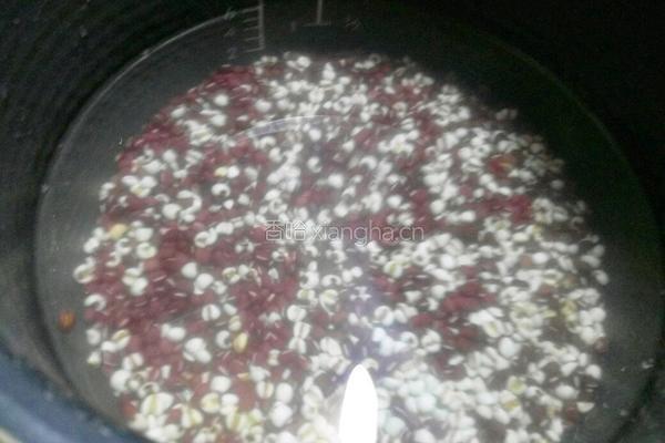 红豆薏米棒冰的做法图解2