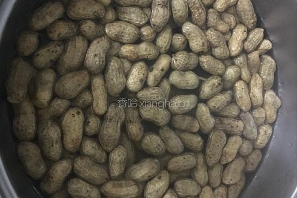 盐水煮花生的做法图解5