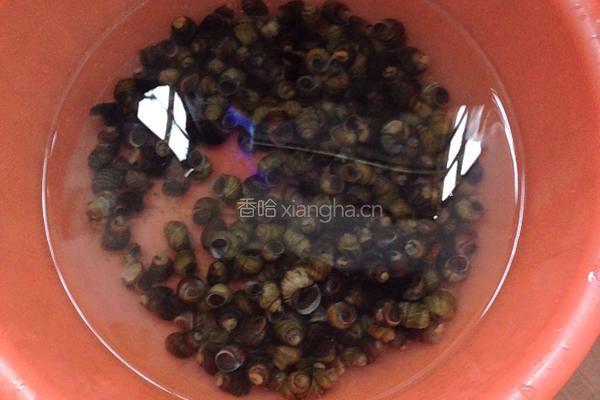 香辣田螺的做法图解2