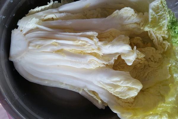 腌辣白菜的做法图解1
