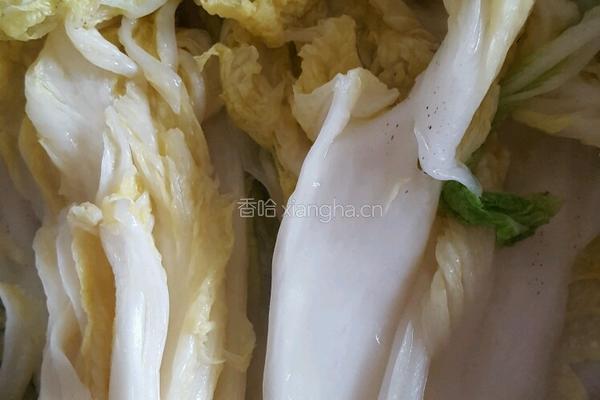 腌辣白菜的做法图解2