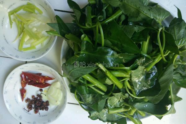 爆炒空心菜的做法图解1