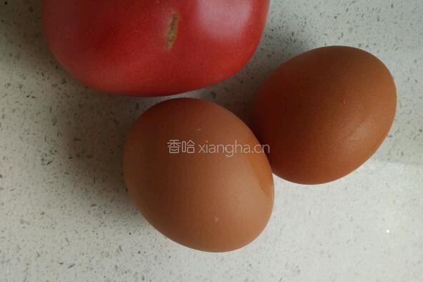 西红柿炒蛋的做法图解1