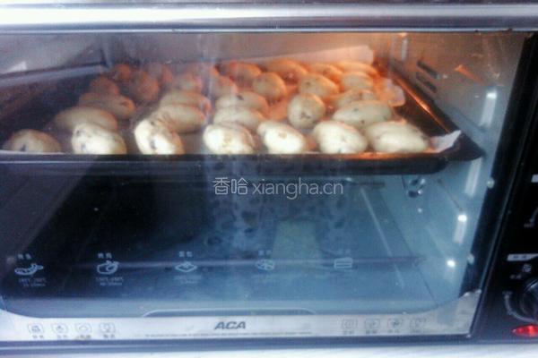 蜜豆全麦早餐包的做法图解8
