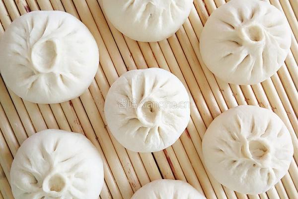 白萝卜肉包子的做法图解15