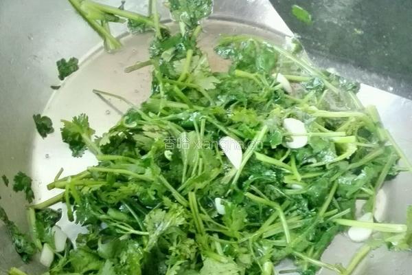 香菜鸡蛋～家常菜的做法图解6