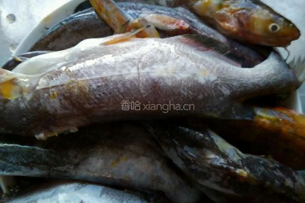 油炸黄辣丁鱼的做法图解2