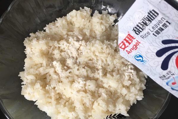 甜酒酿的做法图解2
