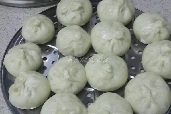 肉包子的做法图解11