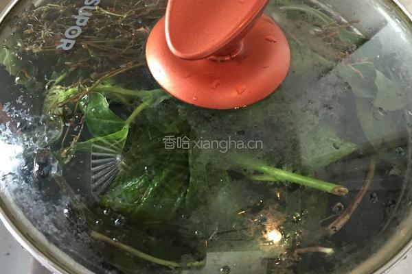 田基黄凉茶煲的做法图解6