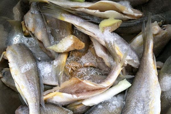 香煎黄花鱼的做法图解3