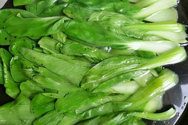 蚝油小青菜的做法图解3