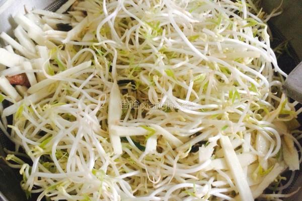 绿豆芽炒笋的做法图解4
