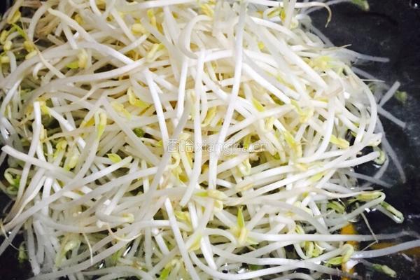 凉拌绿豆芽的做法图解4