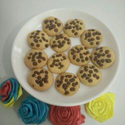 巧克力豆饼干的做法[图]