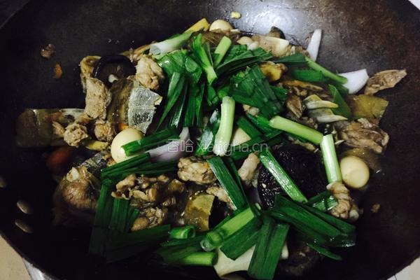 甲鱼烧排骨的做法图解5