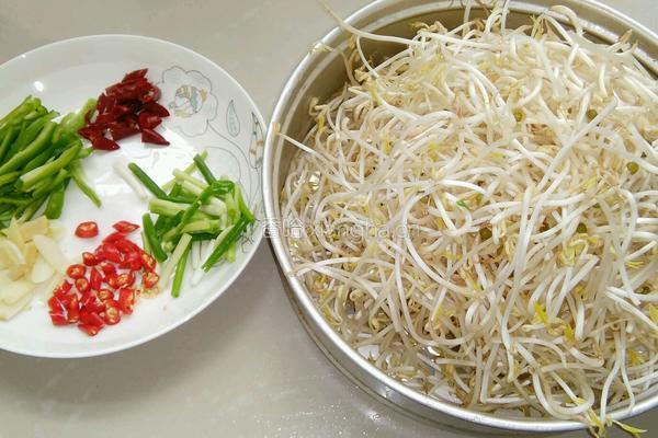 炝炒绿豆芽的做法图解1
