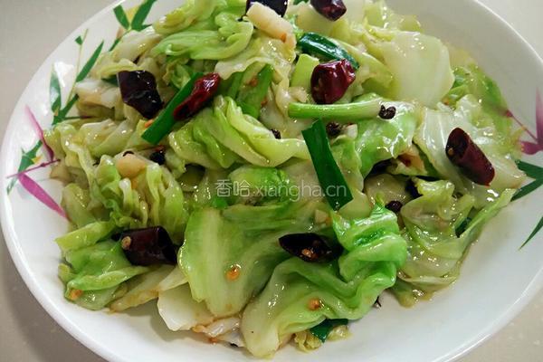 香辣手撕包菜的做法图解10