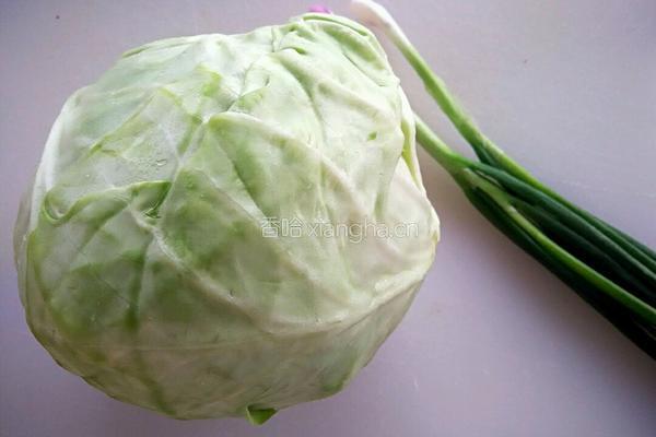 香辣手撕包菜的做法图解1