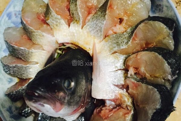 孔雀开屏的做法图解7