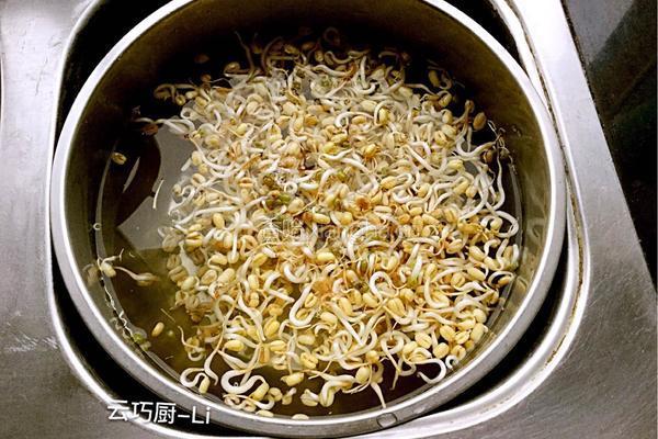 豆芽韭菜炒虾仁的做法图解2
