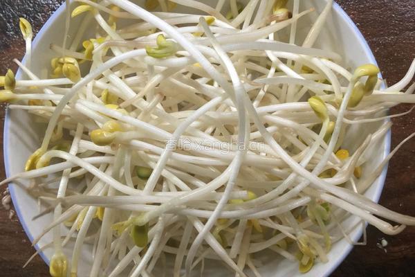 凉拌绿豆芽的做法图解1