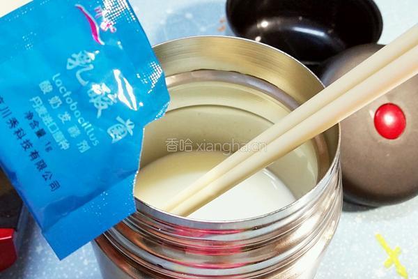 酸奶（保溫杯發酵）的做法图解4