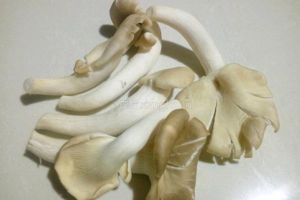 砂锅粉纤汤的做法图解2