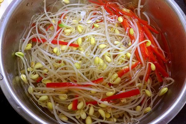 黑芝麻绿豆芽的做法图解3