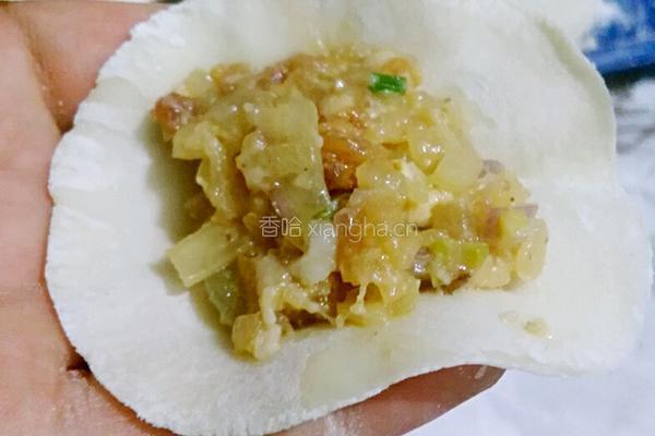 白萝卜鲜肉饺子（白萝卜可是美容的哦）的做法图解19