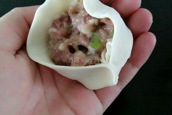 白萝卜猪肉馅生煎包的做法图解14