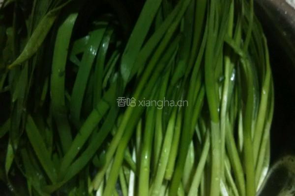韭菜鸡蛋饺子的做法图解2