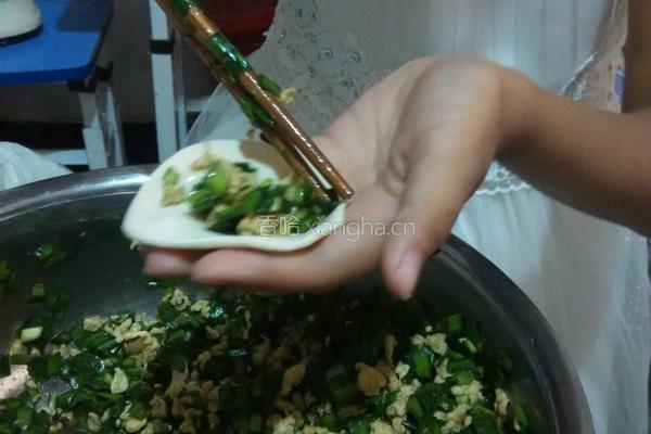 韭菜鸡蛋饺子的做法图解7