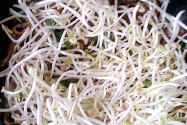 绿豆芽炒鳝鱼丝的做法图解9