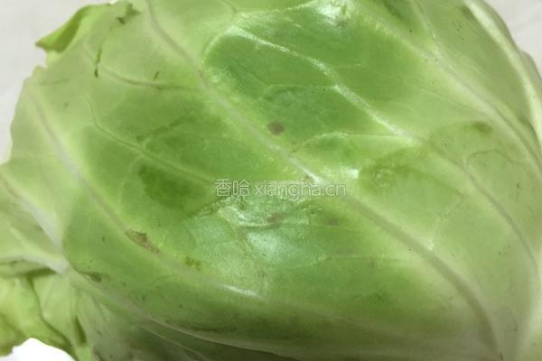 手撕包菜的做法图解1